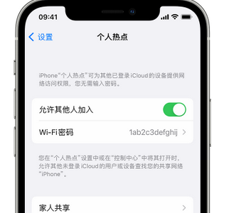 大兴安岭apple服务站点分享iPhone上个人热点丢失了怎么办 