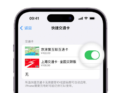 大兴安岭apple维修点分享iPhone上更换Apple Pay快捷交通卡手绘卡面 