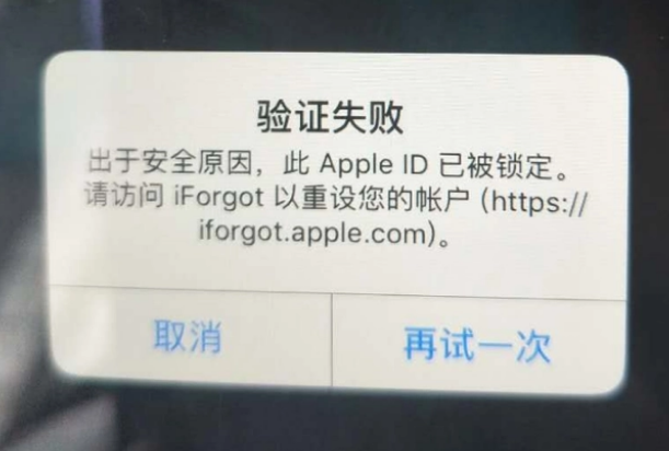 大兴安岭iPhone维修分享iPhone上正常登录或使用AppleID怎么办 