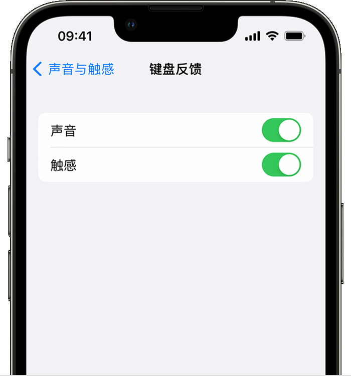 大兴安岭苹果14维修店分享如何在 iPhone 14 机型中使用触感键盘 