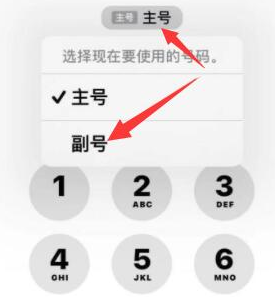 大兴安岭苹果14维修店分享iPhone 14 Pro Max使用副卡打电话的方法 