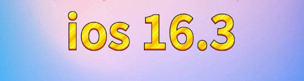 大兴安岭苹果服务网点分享苹果iOS16.3升级反馈汇总 