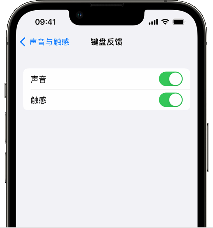 大兴安岭苹果14维修分享iPhone 14 系列机型如何开启键盘声音或触感反馈 