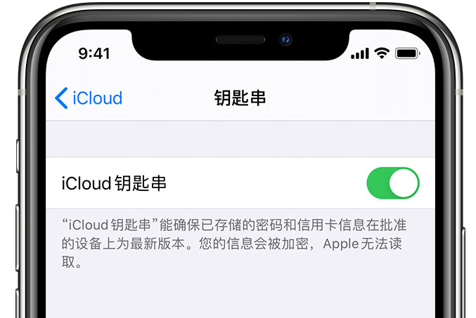 大兴安岭苹果手机维修分享在 iPhone 上开启 iCloud 钥匙串之后会储存哪些信息 