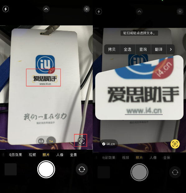 大兴安岭苹果手机维修分享升级iOS 16后如何通过相机翻译文本 