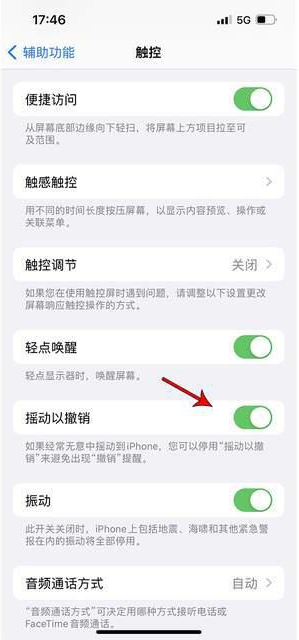 大兴安岭苹果手机维修分享iPhone手机如何设置摇一摇删除文字 