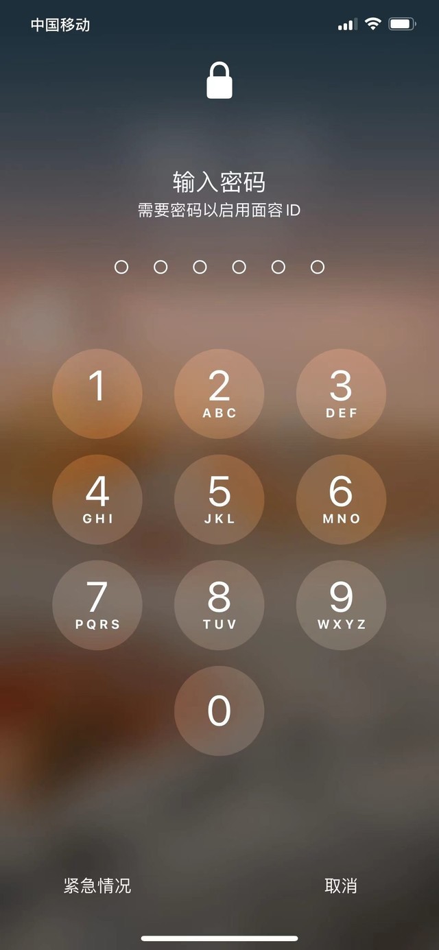 大兴安岭苹果13维修分享iPhone 13加强锁屏功能有什么用 