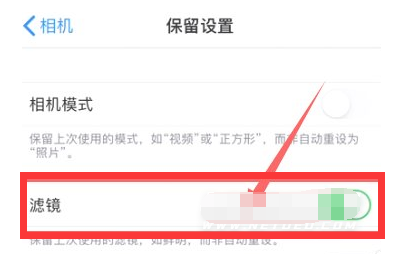 大兴安岭苹果13维修分享iPhone13拍照有绿点是怎么回事 