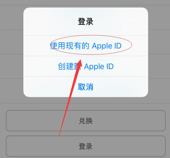 大兴安岭苹果手机维修分享两台iPhone设备可以同时登录一个Apple ID吗 