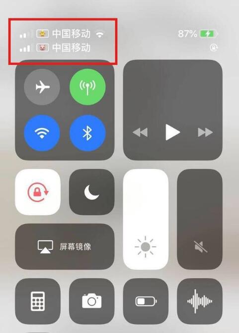 大兴安岭苹果手机维修分享为 iPhone 12 双卡设置标签 
