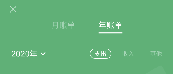 大兴安岭苹果手机维修分享如何在 iPhone 上查看支付宝和微信年支出账单 